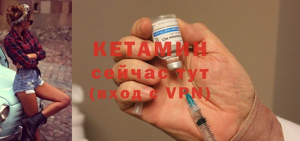 прущие крисы Бородино